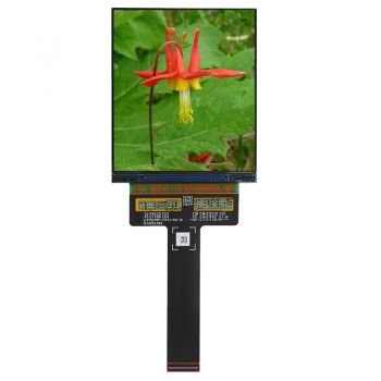 2.95 inch 1080RGBx1200  AMOLED Display